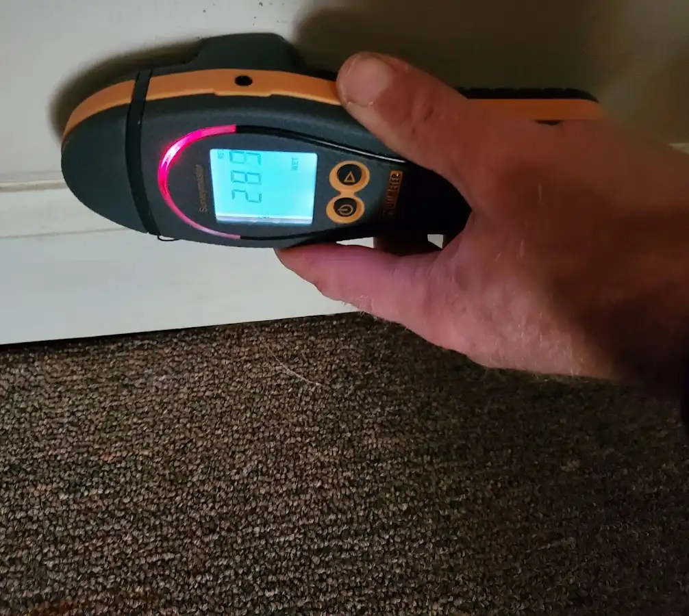Moisture detection at baseboard during Mold Inspection & Testing in Wheatfield
